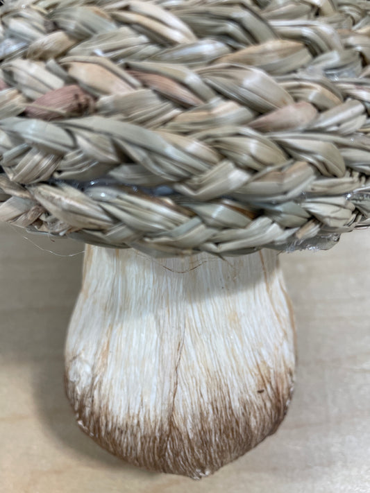 Mushroom