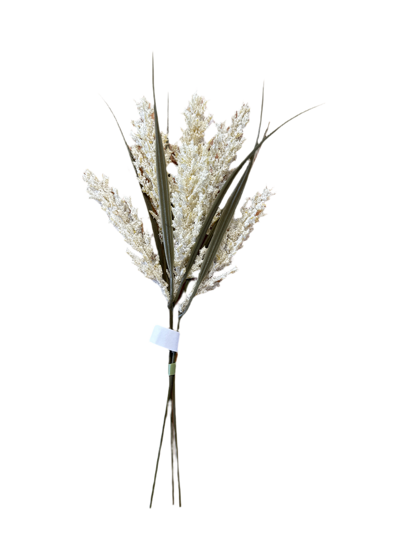 MC32  Mini foxtail bundle