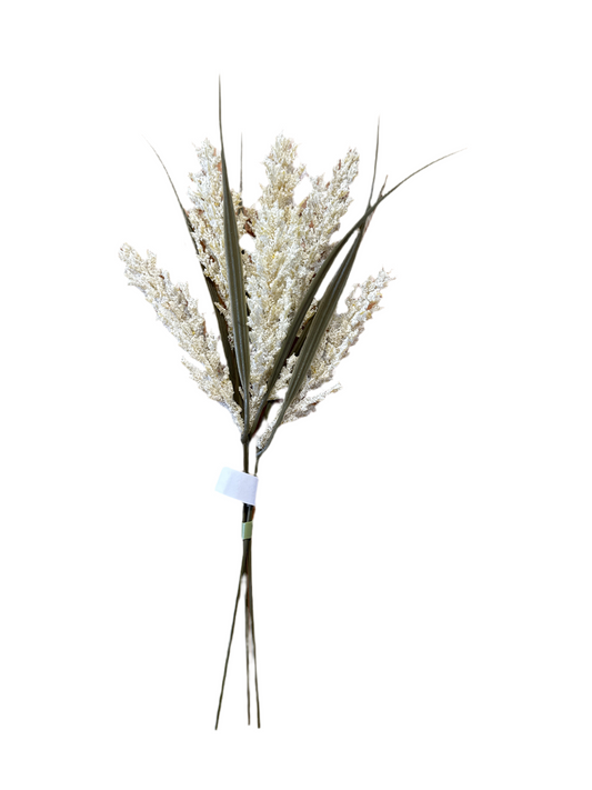 MC32  Mini foxtail bundle