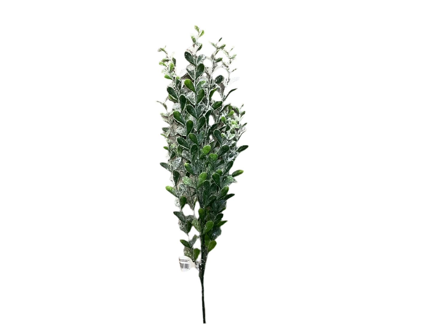 CMC931 Flocked Boxwood Spray