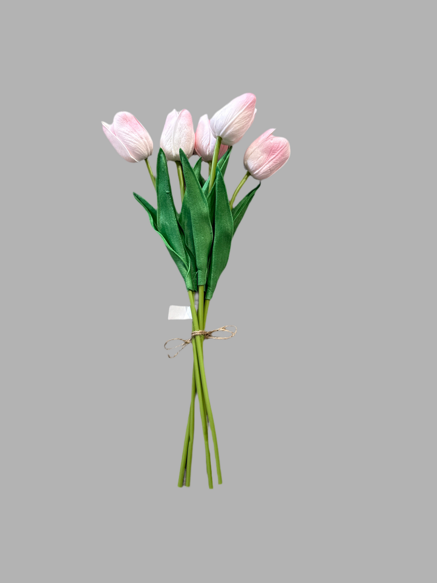 Tulip bundle of 5