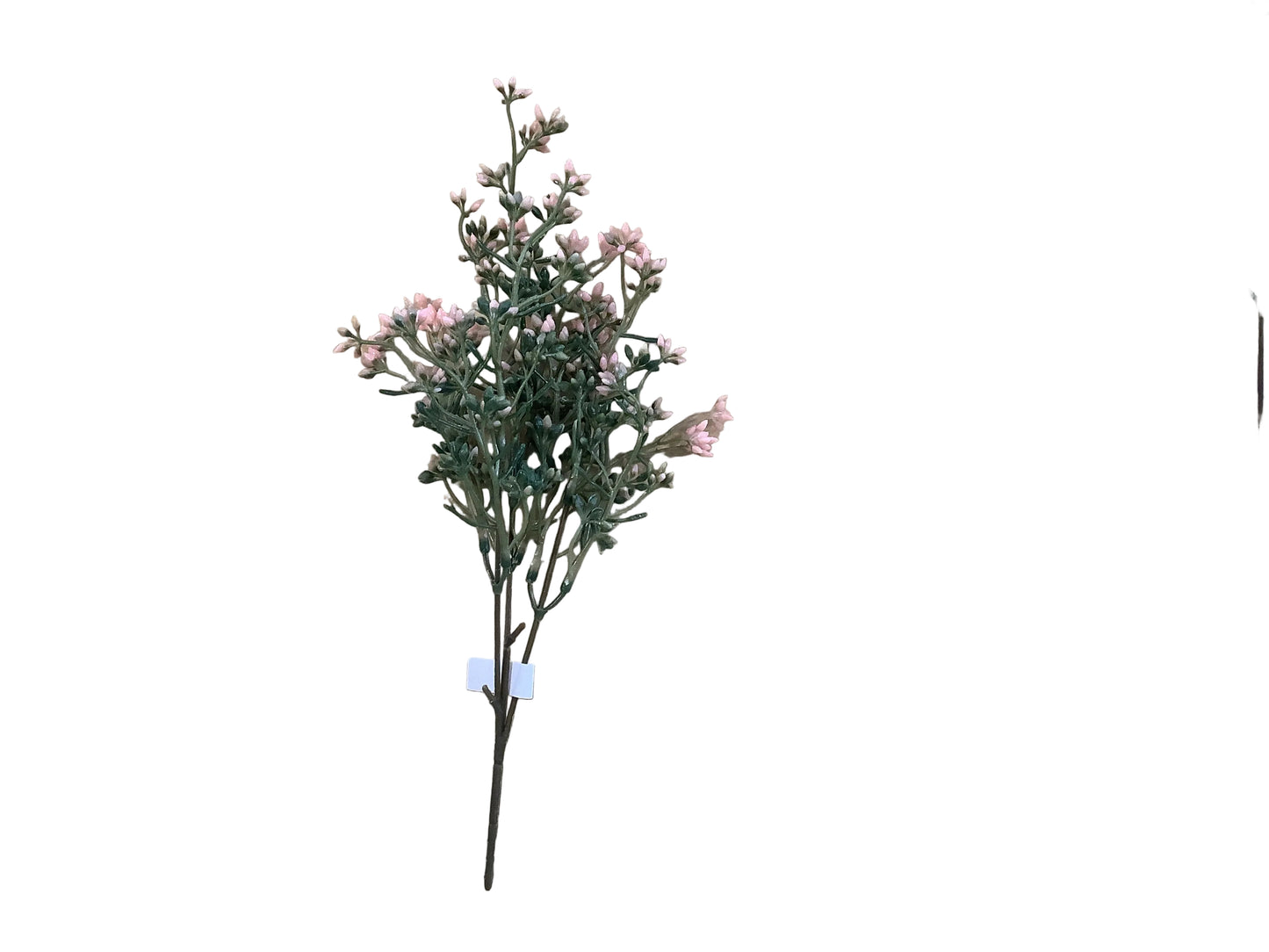 MC66 Seed Pick - Pink/White