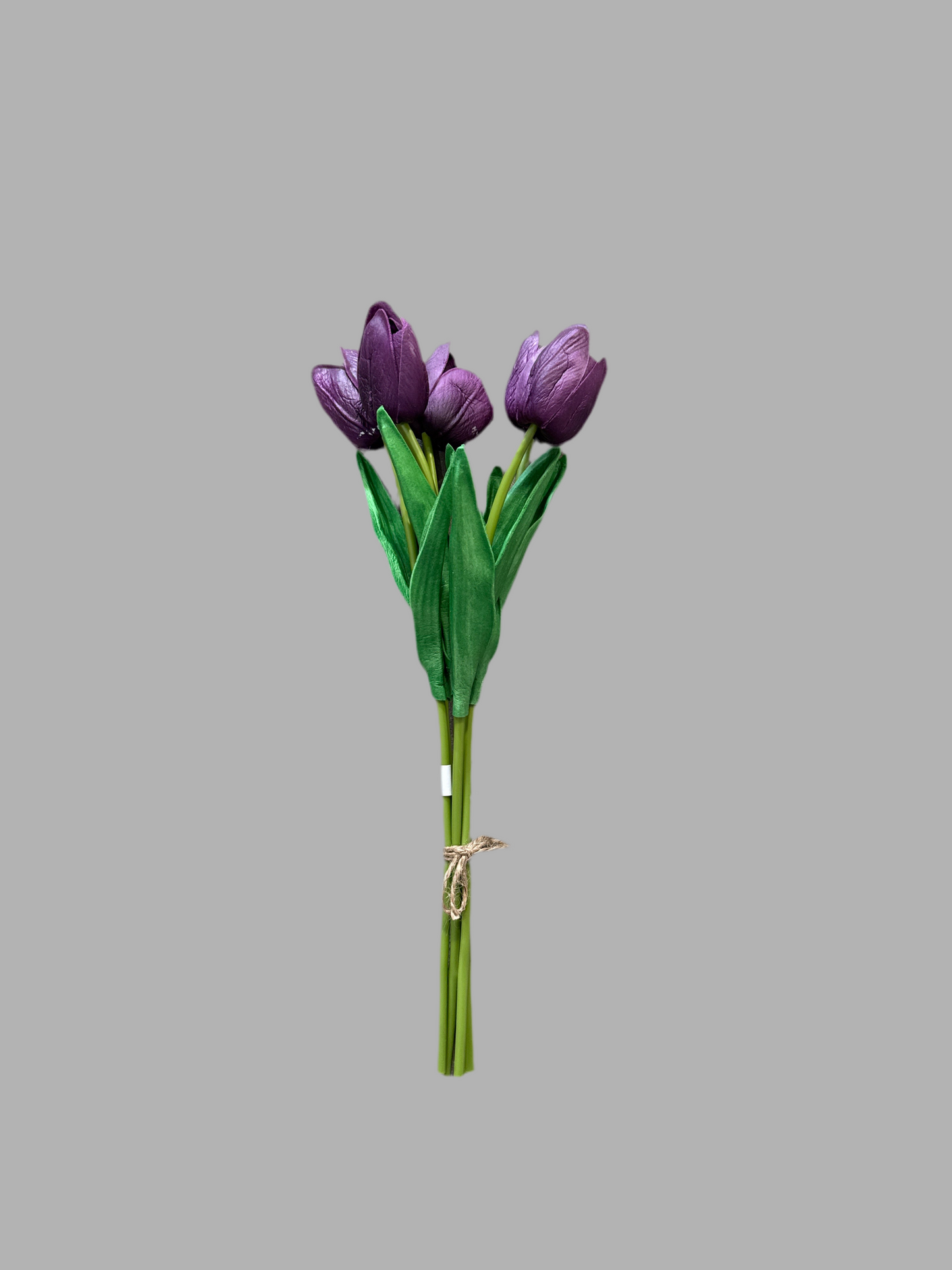 Tulip bundle of 5