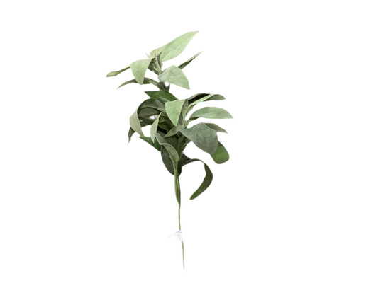 CMC783-Sage Stem