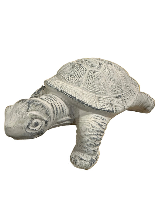 BBL4141 Turtle / Cement