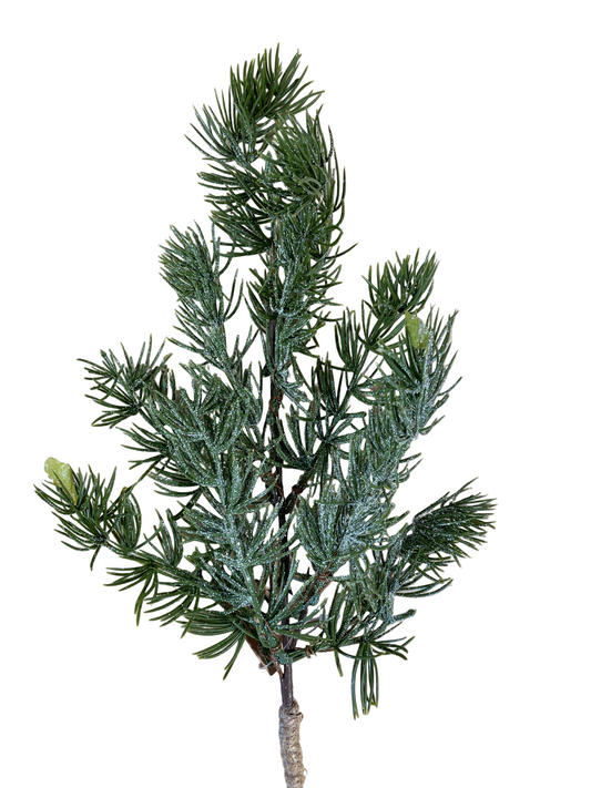 P0368 Fir / Pine Hanger