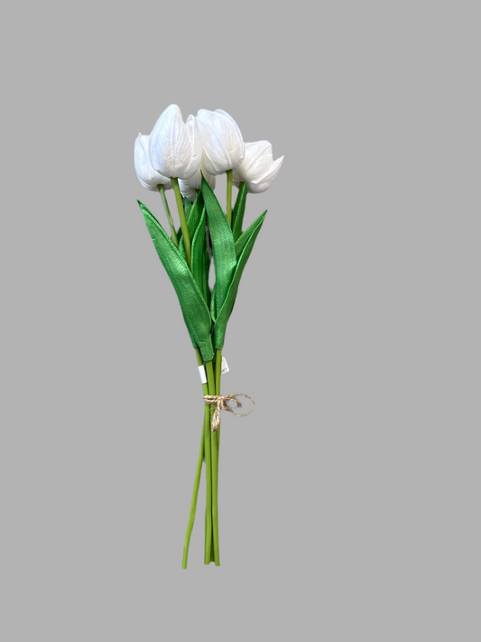 Tulip bundle of 5