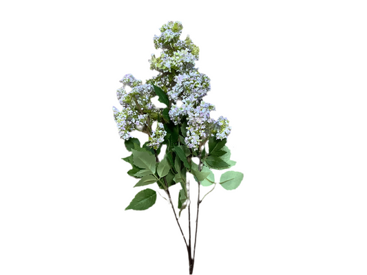 RAZ2816 Lilac Spray