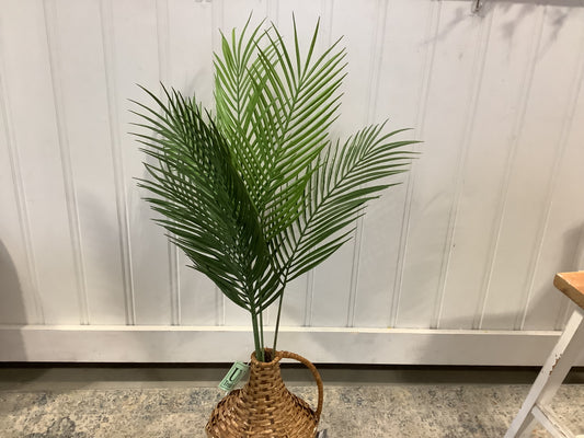 CMC938 Palm
