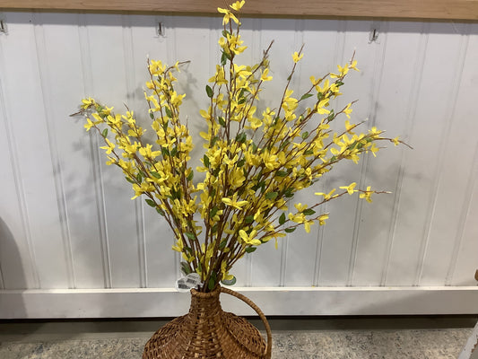 CMC872 -Forsythia