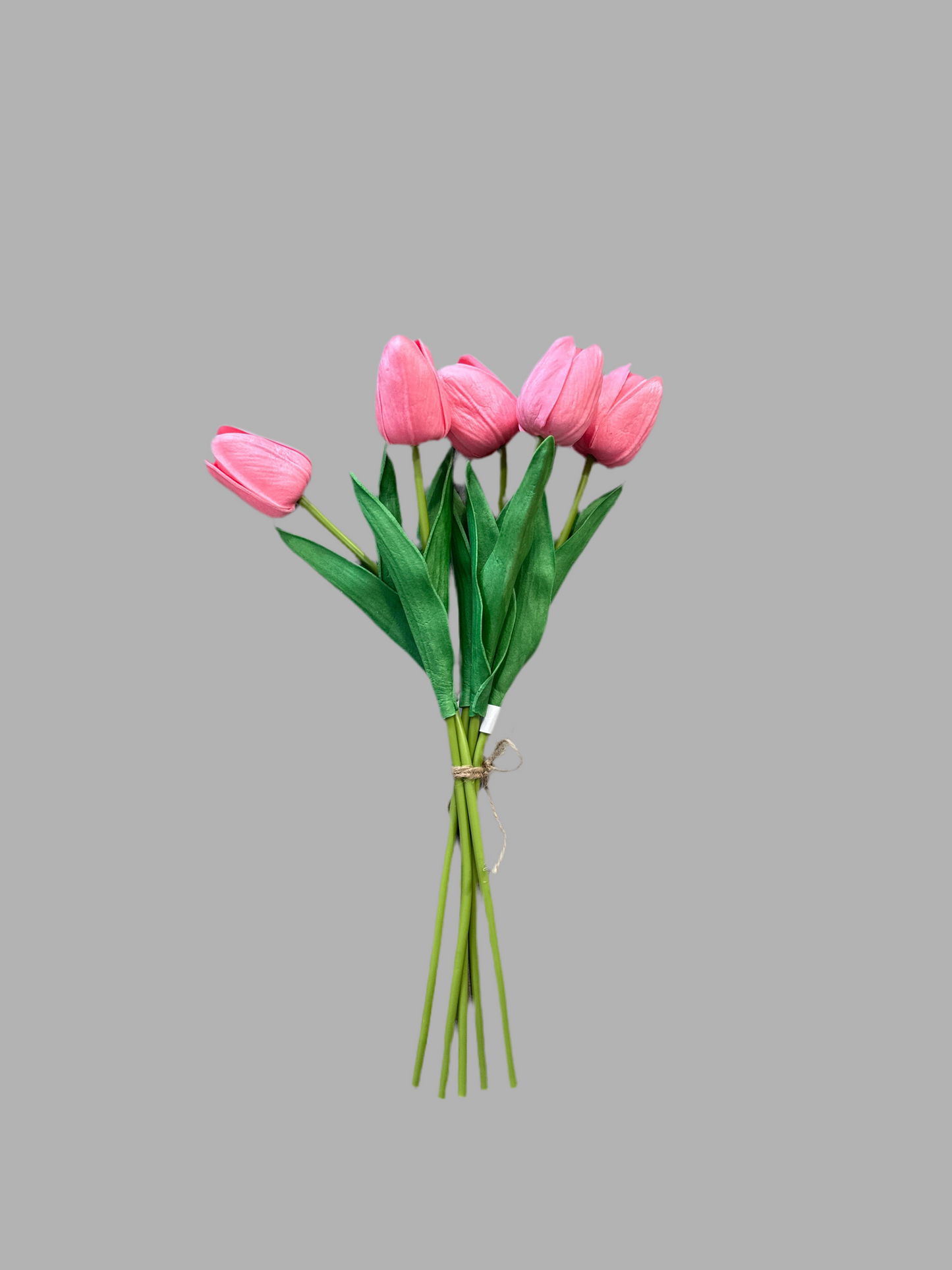 Tulip bundle of 5