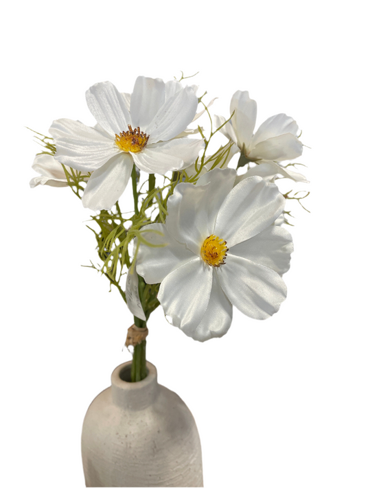P0232 Cosmos / White