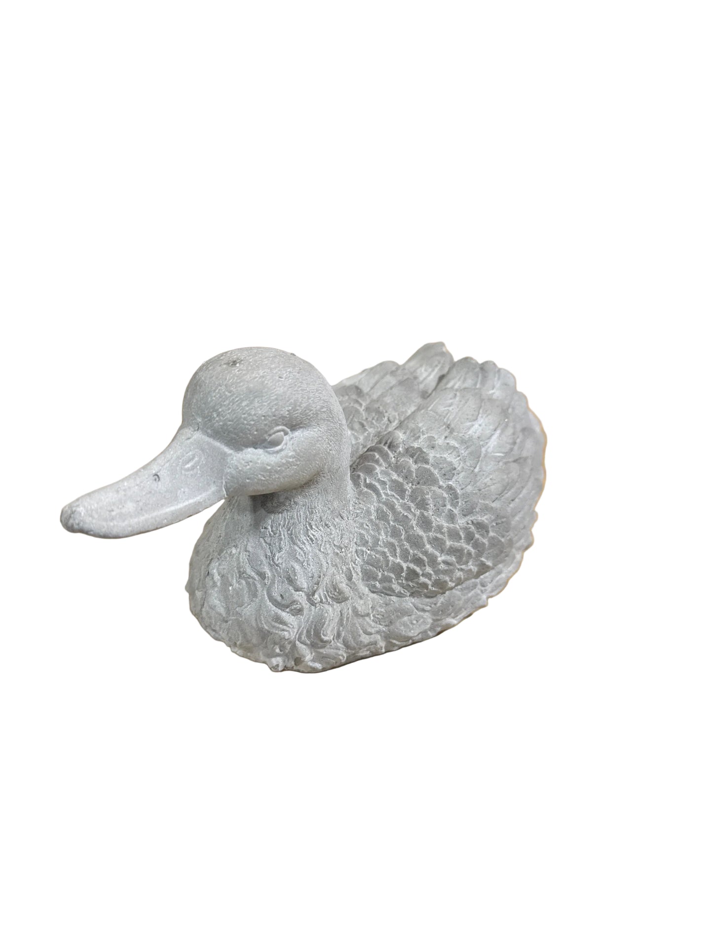 BBL4144  Duck / Cement