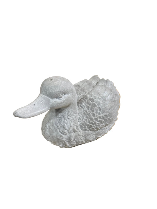BBL4144  Duck / Cement