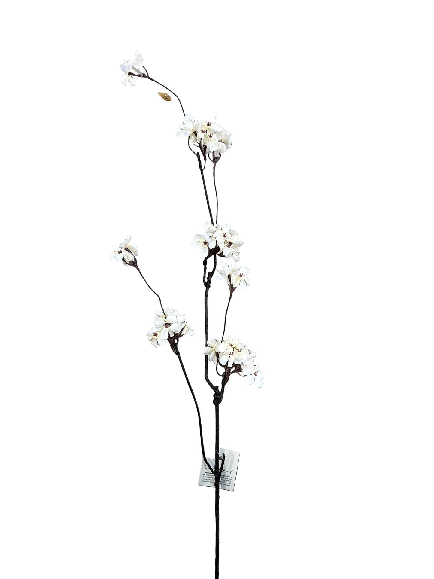 IND9495  Pear Blossom Branch