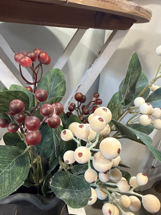 VL4450 White/Burg Berry Spray