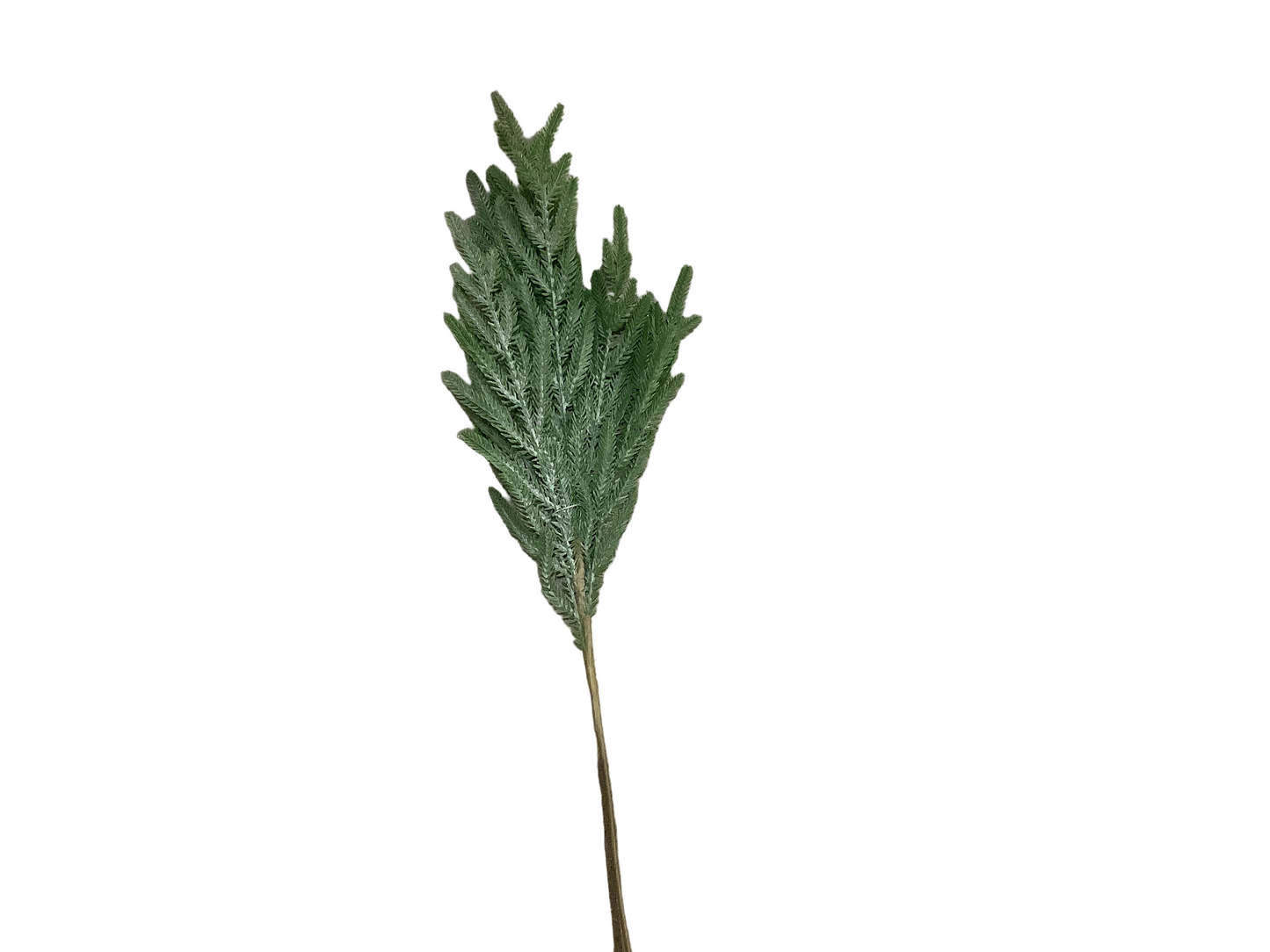 VL4447L Pine Spray Green