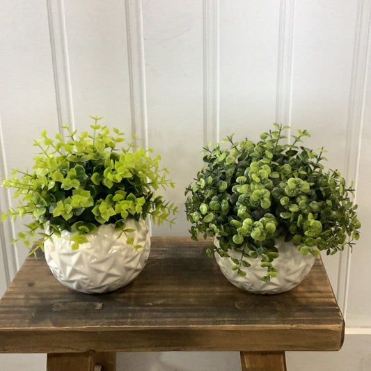 ATT1134 Foliage in White Pot