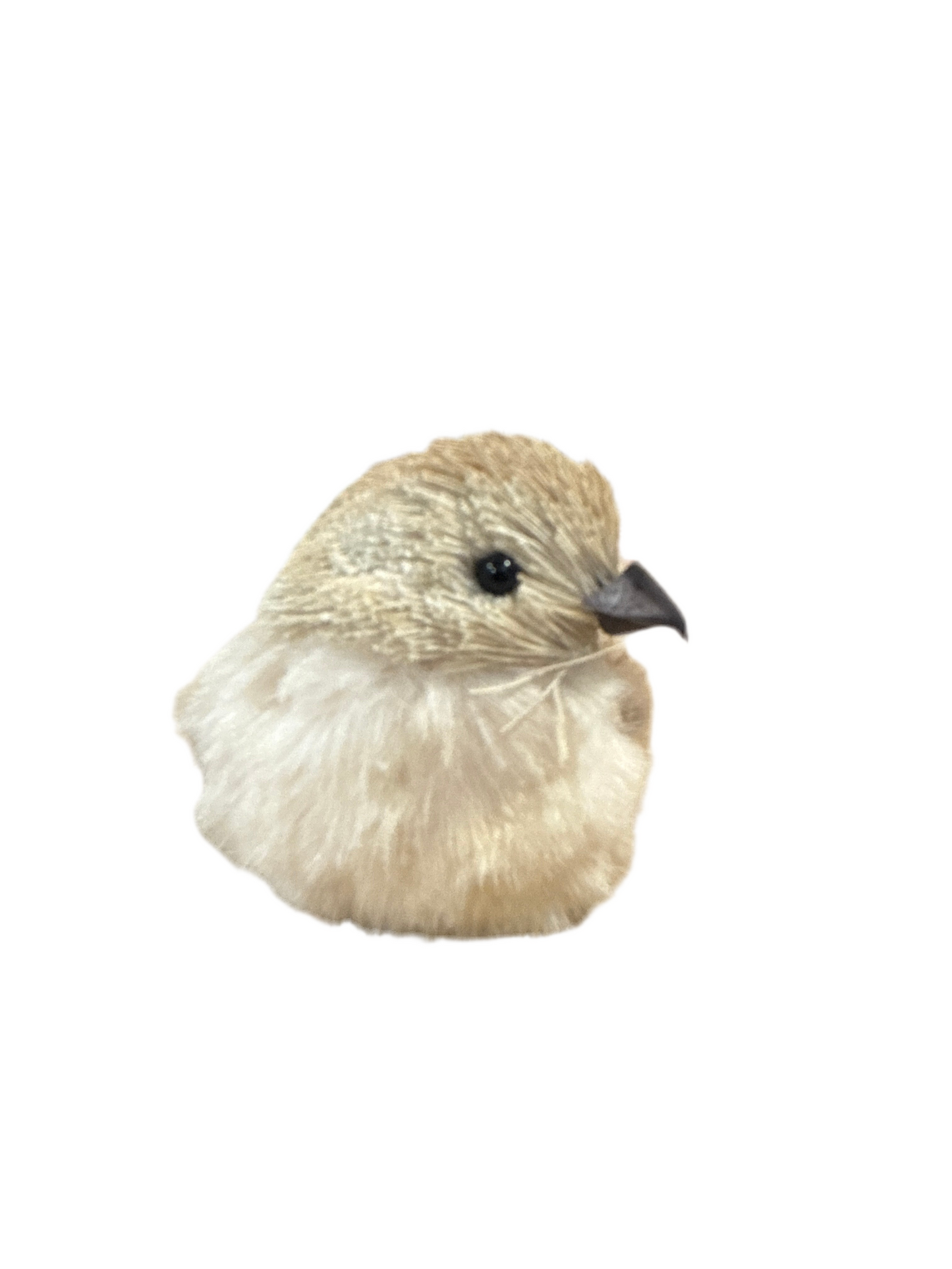GRO4449  Bird / Clip on Ornament