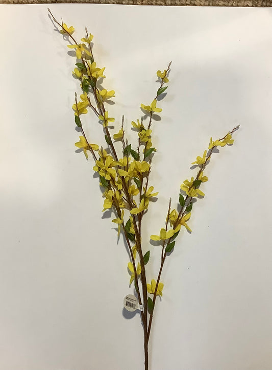 CMC872 -Forsythia