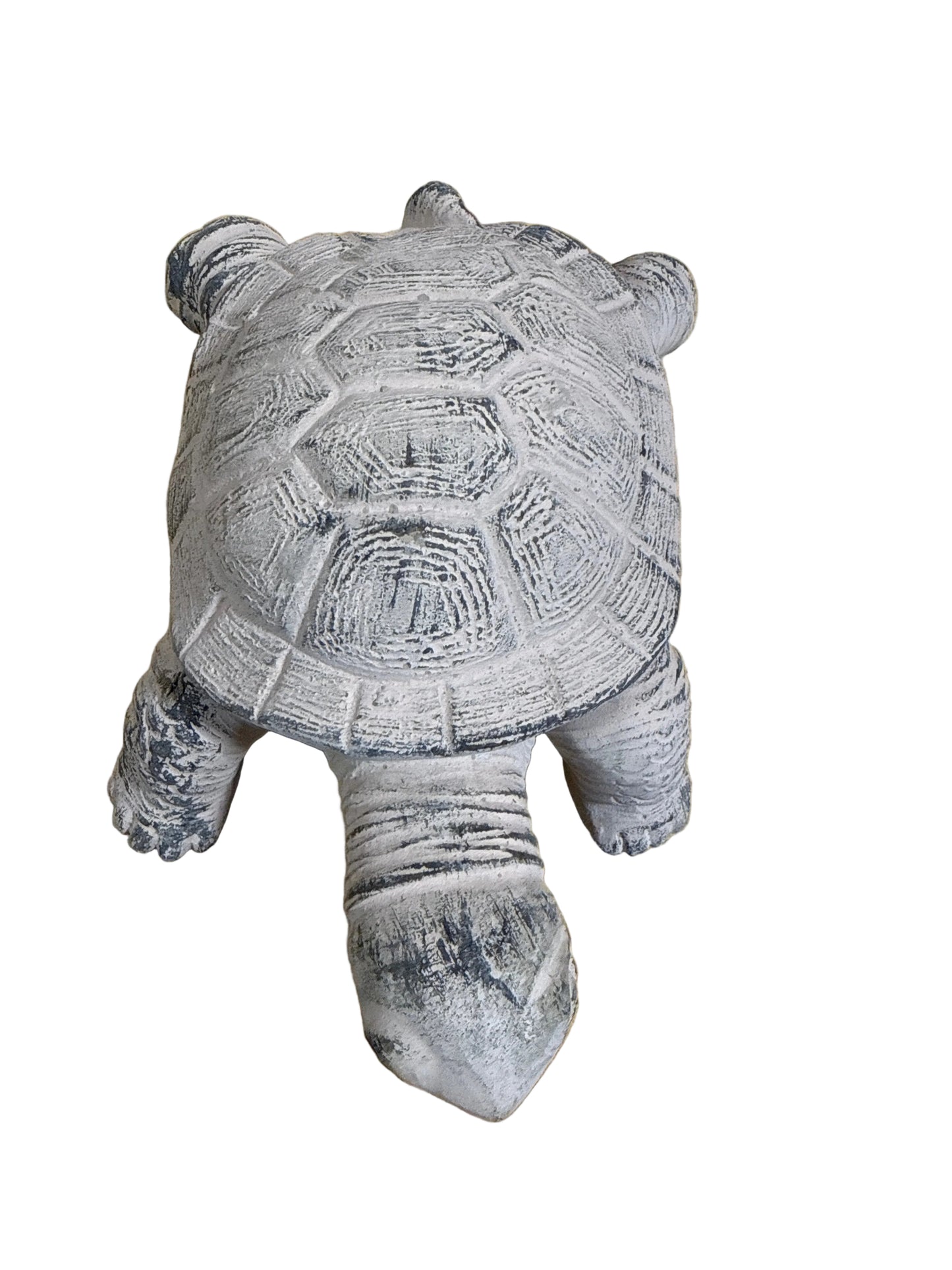 BBL4141 Turtle / Cement