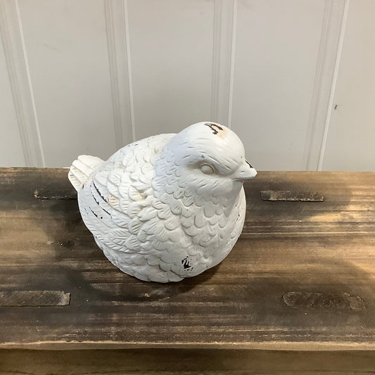 RAZ0189 -Bird / White Ash