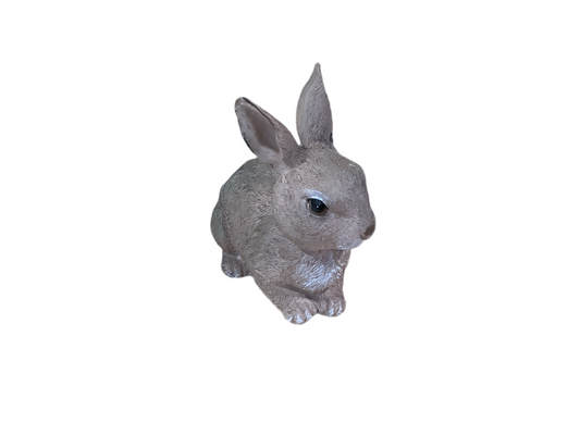 RAZ1119 Bunny