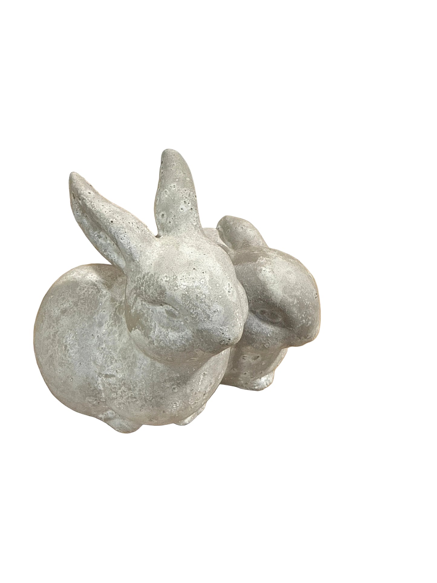 BBL4146 Rabbits / Cement