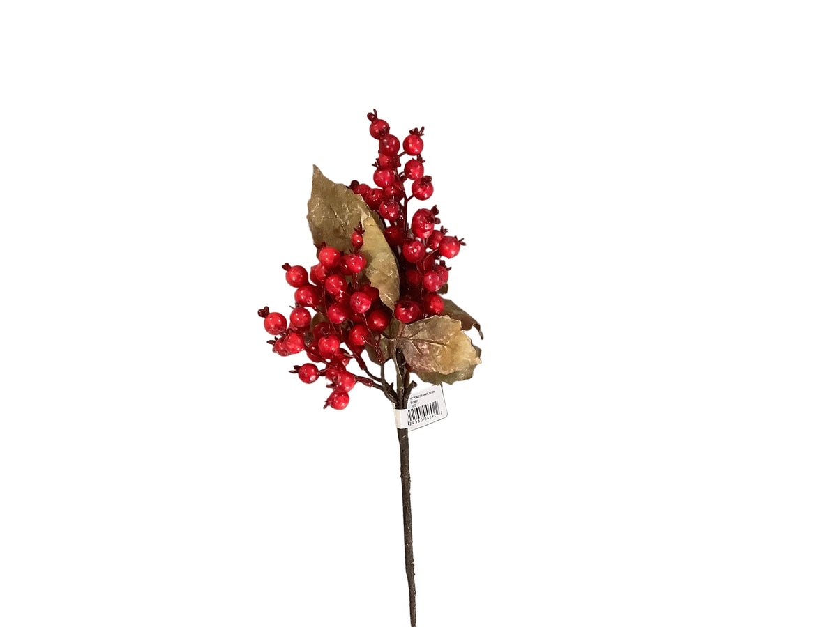Berry Spray with leaves