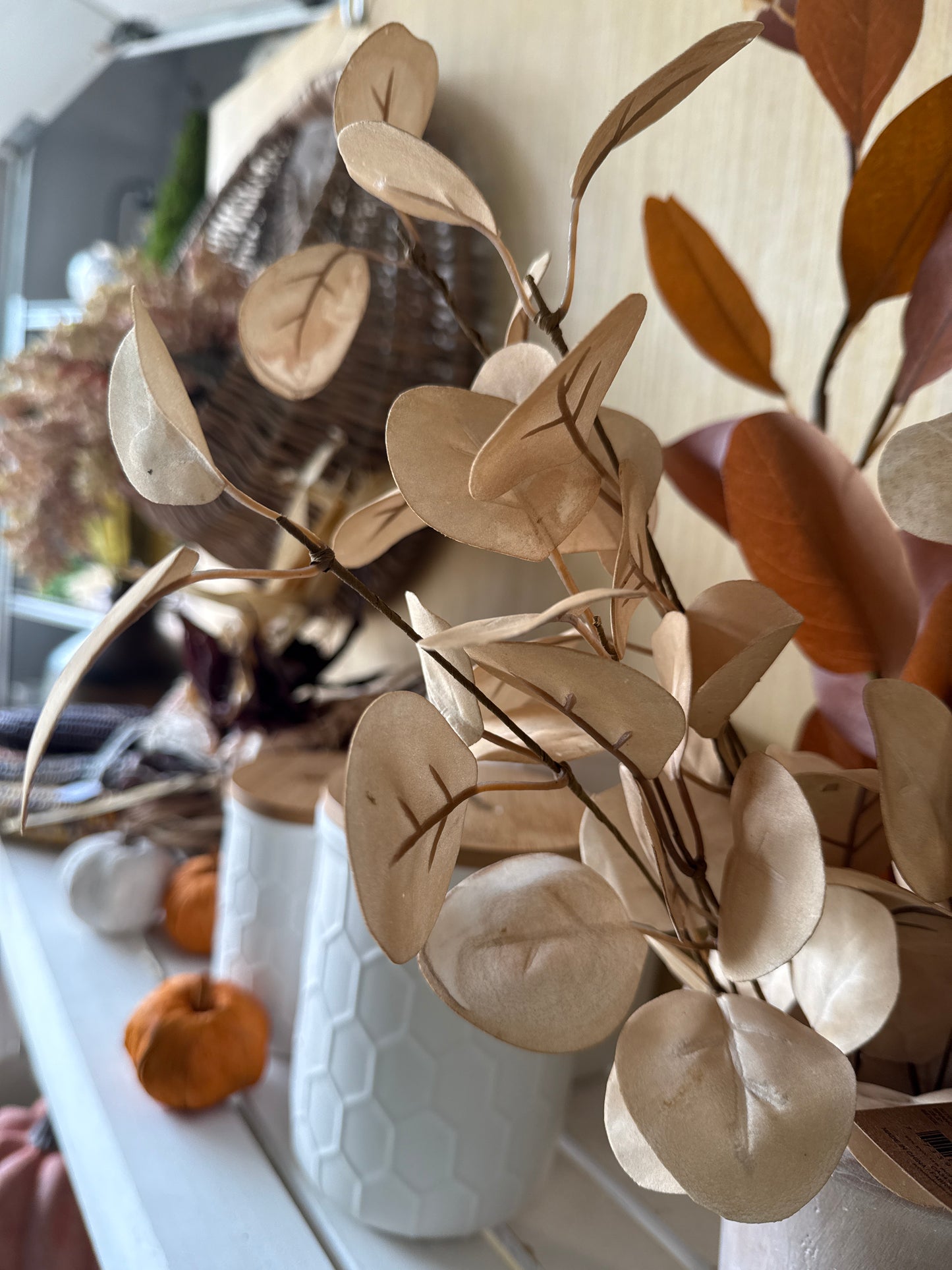 P0405 Eucalyptus / Beige