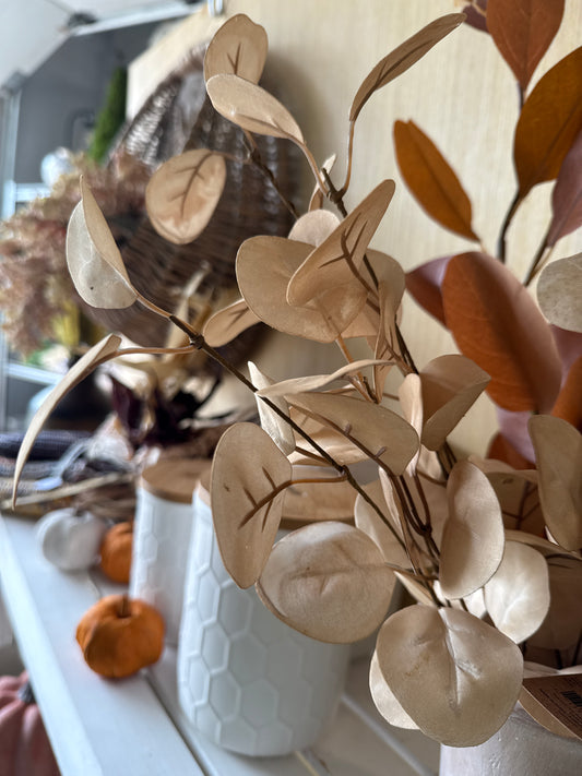 P0405 Eucalyptus / Beige