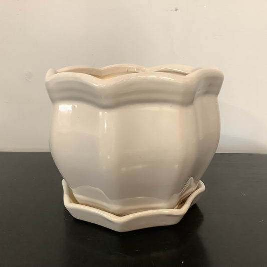RAZ4349 Planter w/ Tray - Cream