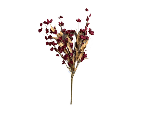 MC63 Wildflower Burgandy