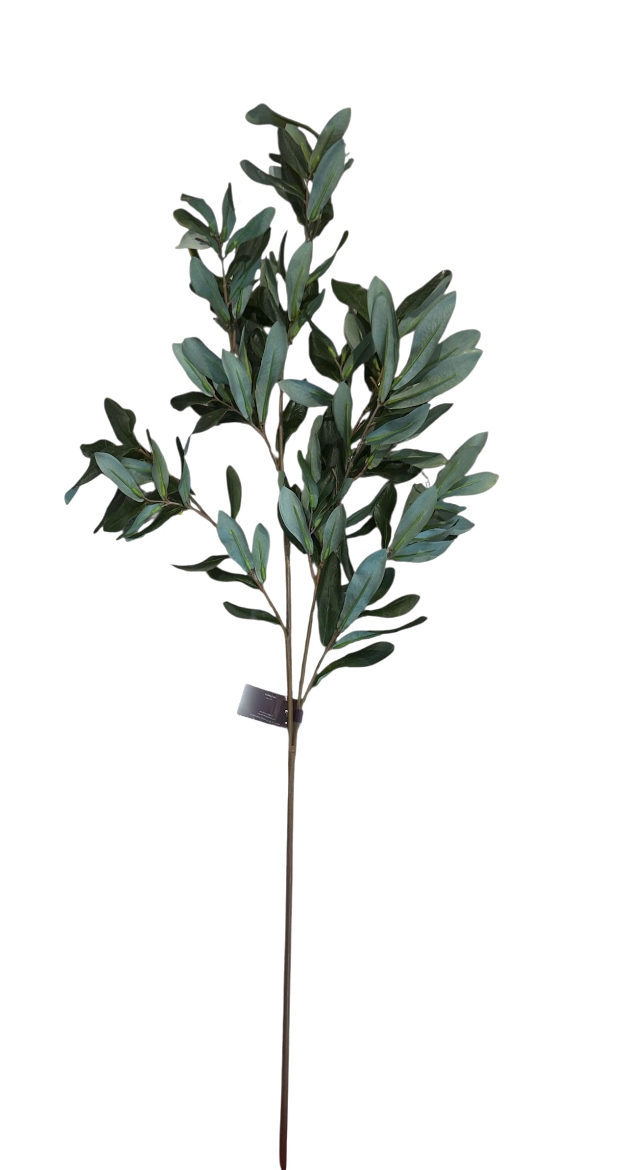 FL9213- Olive Leaf Branch