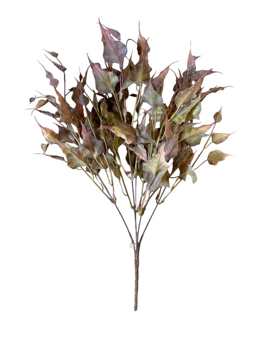 IND0500- Ivy Spray