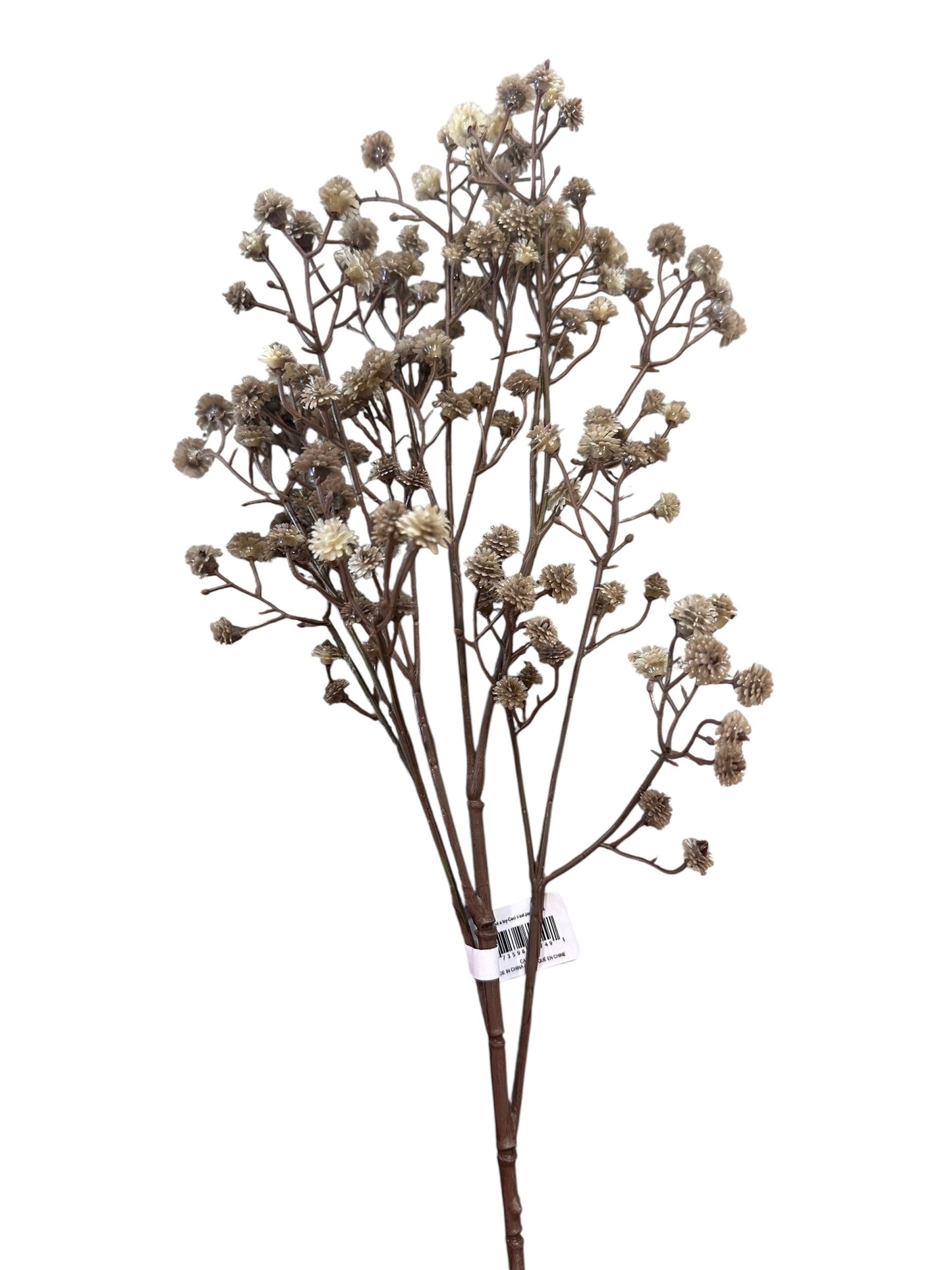 Flower Stem / Baby’s Breath