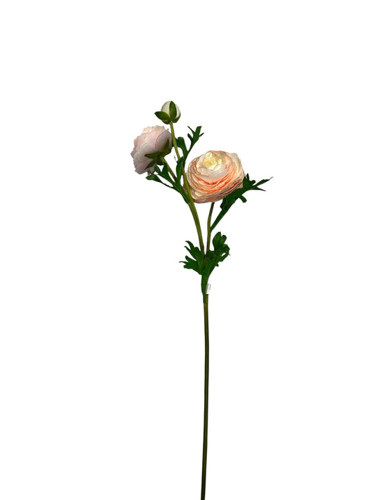 FL1507- Ranunculus Stem Blush flower