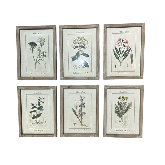 Wall Art Collection / Album de La Flora