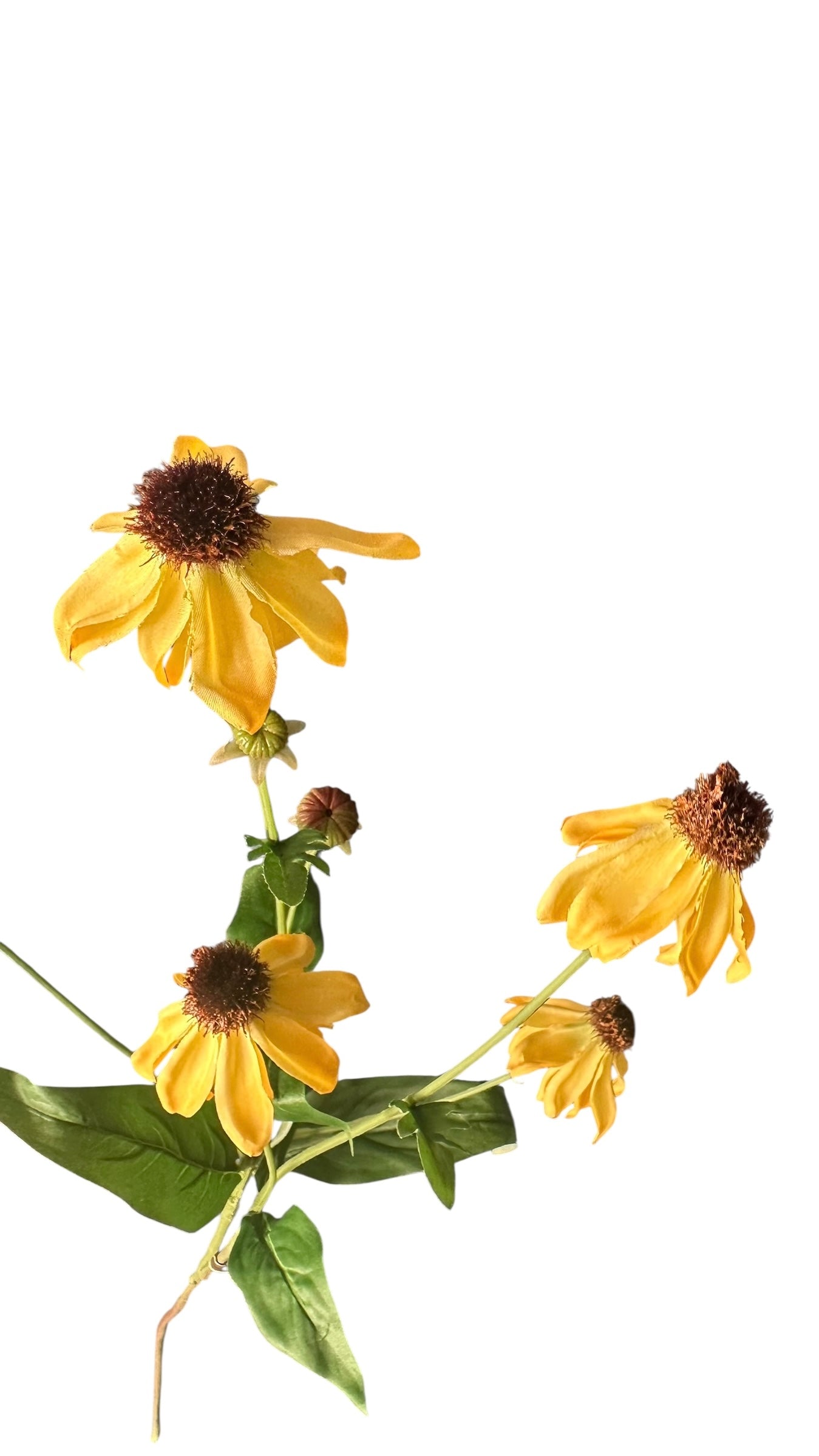 Cmc221/ black eyed Susan spray