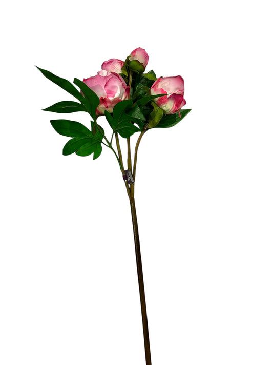 FL2524pk- peony / pink