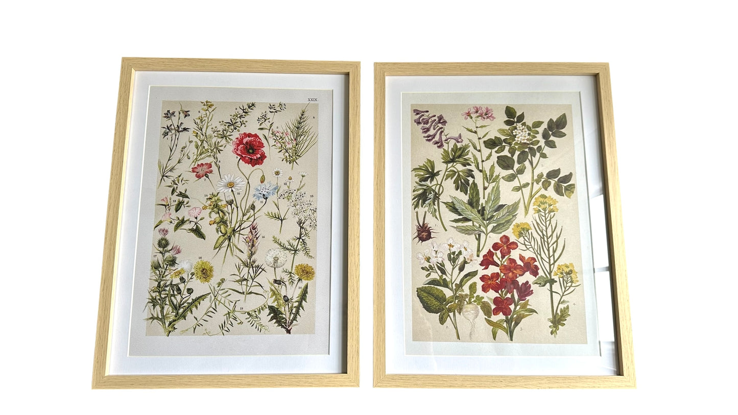 Nos3825- wall art / wildflowers