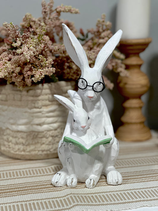 RAZ1067- Bunny & Baby Story time