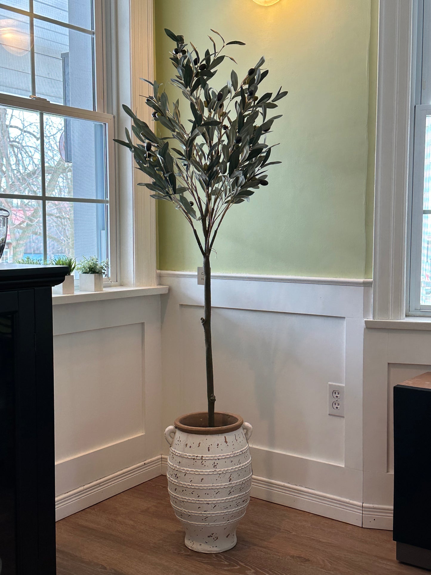 P2030 Olive Tree