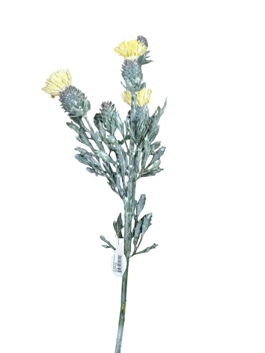 Cmc250-Irish Thistle Spray