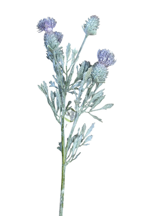 Cmc250-Irish Thistle Spray
