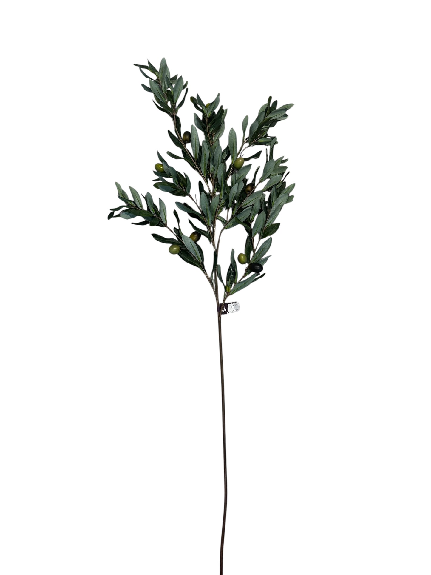 FL9190- Olive Branch