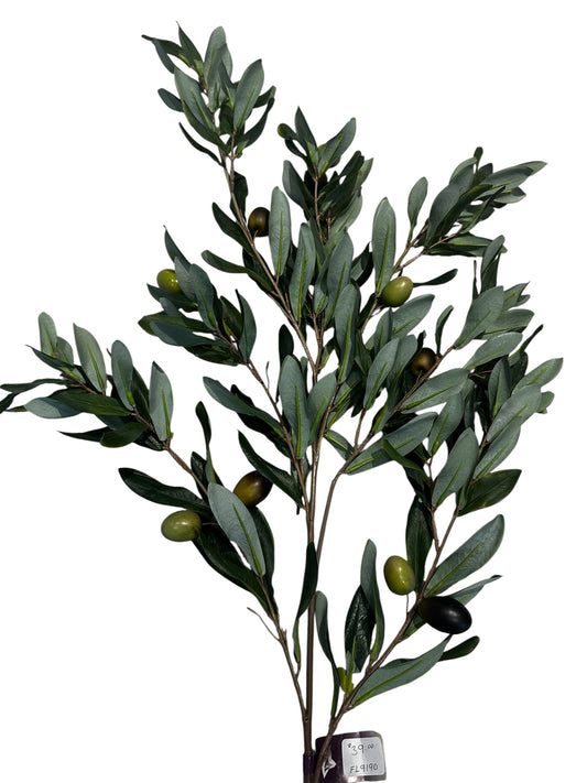 FL9190- Olive Branch
