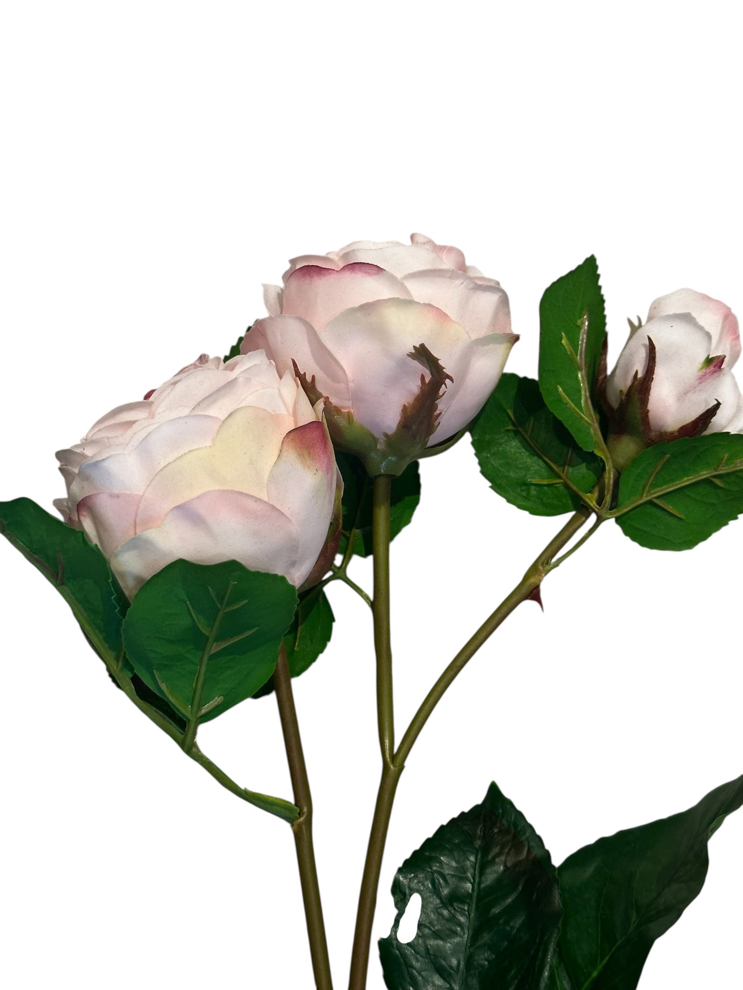 FL2326PK - Roses / pink
