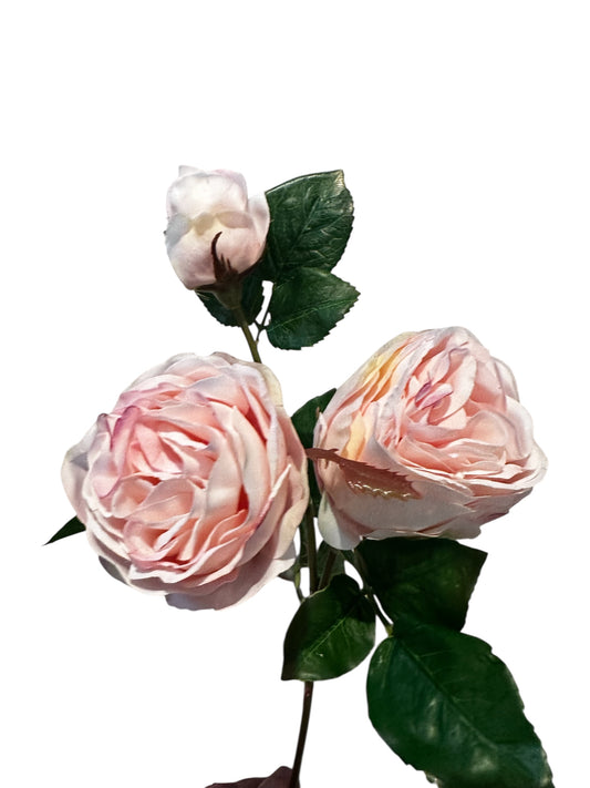 FL2326PK - Roses / pink