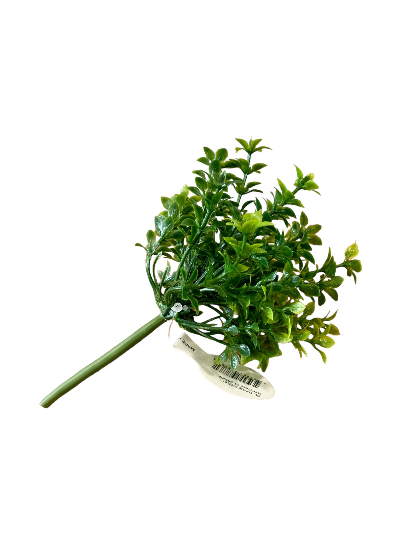 CMC934 Thyme pick
